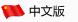 中文版